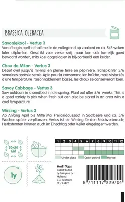 Horti tops zaden savooiekool vertus - afbeelding 2