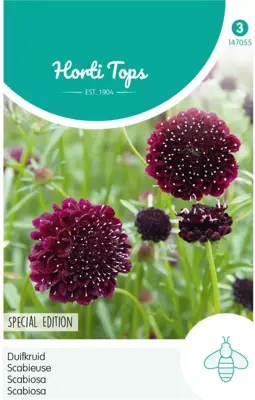 Horti tops zaden Scabiosa, Duifkruid diep donkerpaars - afbeelding 1