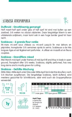 Horti tops zaden scabiosa, duifkruid gemengd - afbeelding 2