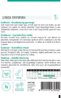 Horti tops zaden scabiosa, duifkruid gemengd - afbeelding 2