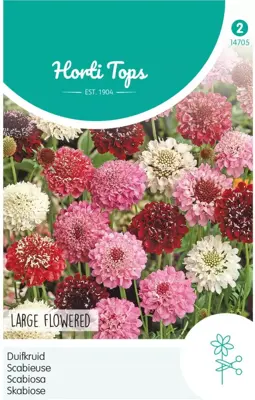 Horti tops zaden scabiosa, duifkruid gemengd - afbeelding 1