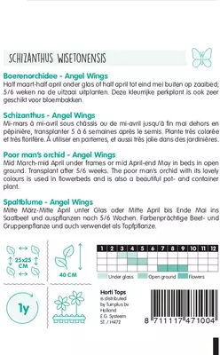 Horti tops zaden schizanthus, boerenochidee angel wings - afbeelding 2