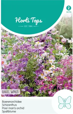 Horti tops zaden schizanthus, boerenochidee angel wings - afbeelding 1