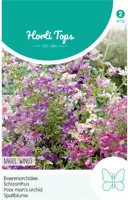 Horti tops zaden schizanthus, boerenochidee angel wings - afbeelding 1