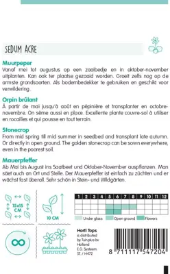 Horti tops zaden sedum, muurpeper geel - afbeelding 2