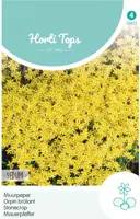 Horti tops zaden sedum, muurpeper geel kopen?