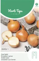 Horti tops zaden sjalot bonilla - afbeelding 1