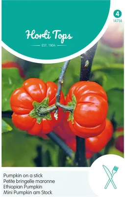 Horti tops zaden solanum, pumpkin on a stick - afbeelding 1