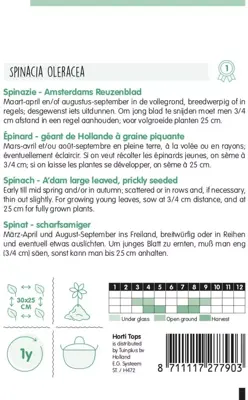 Horti tops zaden spinazie amsterdams scherp zaad - afbeelding 2