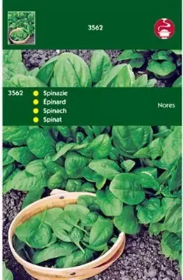 Horti tops zaden Spinazie Nores type Viking 100 gram - afbeelding 1
