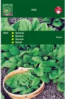 Horti tops zaden Spinazie Nores type Viking 100 gram - afbeelding 1