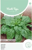 Horti tops zaden spinazie winterreuzen - afbeelding 1