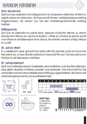 Horti tops zaden st. janskruid - iperico - afbeelding 2