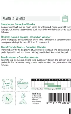 Horti tops zaden Stambonen Canadian Wonder (Kidney) 15 gram - afbeelding 2