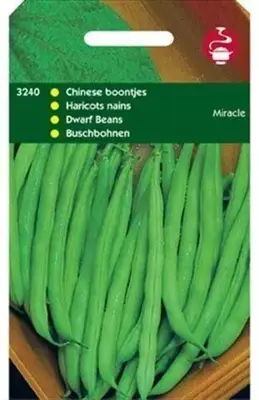 Horti tops zaden stamslabonen, chinees boontje miracle 100 gram - afbeelding 1