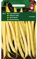 Horti tops zaden stamslabonen gondola (wasboon, witzadig) 100 gram - afbeelding 1