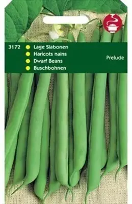 Horti tops zaden stamslabonen prelude 100 gram - afbeelding 1