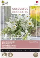 Horti tops zaden Stamsnijbonen mengsel 30 gram kopen?