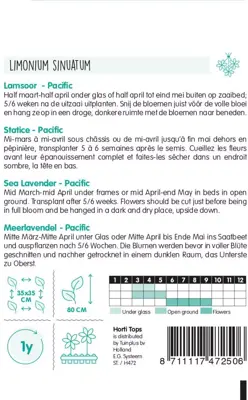 Horti tops zaden statice, lamsoor pacific gemengd - afbeelding 2