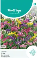 Horti tops zaden statice, lamsoor pacific gemengd kopen?