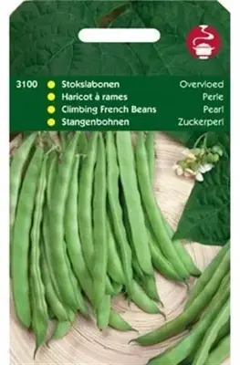 Horti tops zaden stokslabonen overvloed 100 gram - afbeelding 1