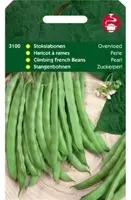 Horti tops zaden stokslabonen overvloed 100 gram - afbeelding 1