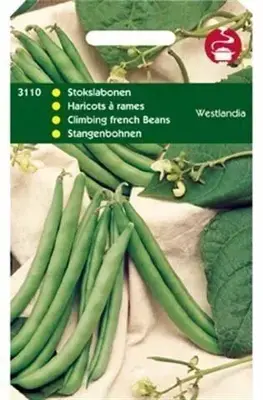 Horti tops zaden stokslabonen westlandse dubbele, zonder draad 100 gram - afbeelding 1