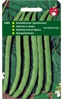 Horti tops zaden stokspekbonen neckarkönigin 100 gram - afbeelding 1
