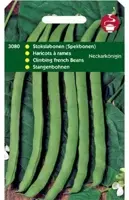 Horti tops zaden stokspekbonen neckarkönigin 100 gram - afbeelding 1