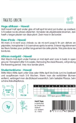 Horti tops zaden tagetes, hoge afrikaan hawaii oranje - afbeelding 2