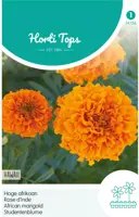 Horti tops zaden tagetes, hoge afrikaan hawaii oranje - afbeelding 1