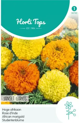 Horti tops zaden tagetes, hoge afrikaan sunset giants gemengd - afbeelding 1