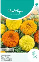 Horti tops zaden tagetes, hoge afrikaan sunset giants gemengd kopen?