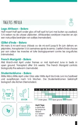 Horti tops zaden tagetes, lage afrikaan bolero - afbeelding 2