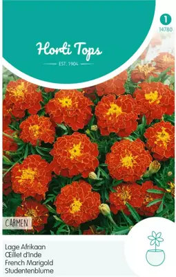 Horti tops zaden tagetes, lage afrikaan carmen - afbeelding 1