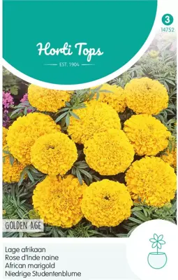 Horti tops zaden tagetes, lage afrikaan golden age - afbeelding 1