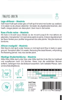 Horti tops zaden tagetes, lage afrikaan maximix - afbeelding 2