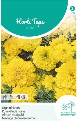 Horti tops zaden tagetes, lage afrikaan mr. moonlight geel - afbeelding 1