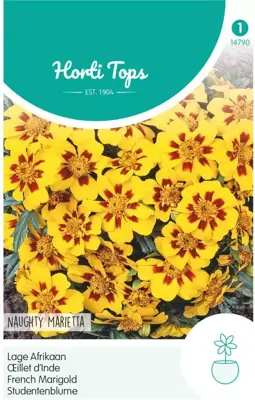 Horti tops zaden tagetes, lage afrikaan naughty marietta - afbeelding 1
