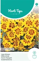 Horti tops zaden tagetes, lage afrikaan naughty marietta - afbeelding 1
