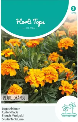 Horti tops zaden tagetes, lage afrikaan petite orange - afbeelding 1