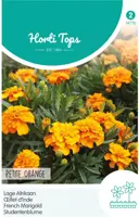 Horti tops zaden tagetes, lage afrikaan petite orange kopen?