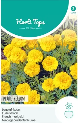 Horti tops zaden tagetes, lage afrikaan petite yellow - afbeelding 1