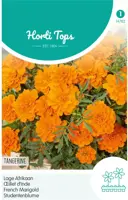 Horti tops zaden tagetes, lage afrikaan tangerine - afbeelding 1