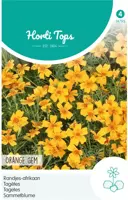 Horti tops zaden tagetes, randjes-afrikaan orange - afbeelding 1