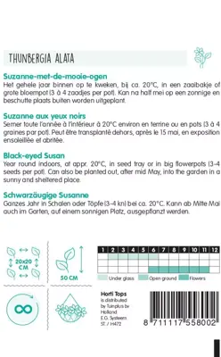 Horti tops zaden thunbergia, suzanne-met-de-mooie-ogen - afbeelding 2