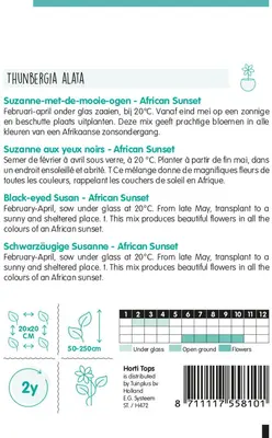 Horti tops zaden Thunbergia, Suzanne-met-de-mooie-ogen African Sunset - afbeelding 2