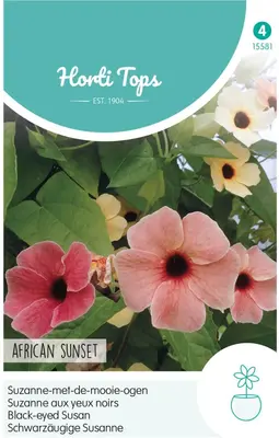 Horti tops zaden Thunbergia, Suzanne-met-de-mooie-ogen African Sunset - afbeelding 1