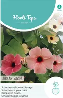 Horti tops zaden Thunbergia, Suzanne-met-de-mooie-ogen African Sunset - afbeelding 1