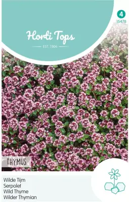 Horti tops zaden thymus, wilde tijm purperrood - afbeelding 1